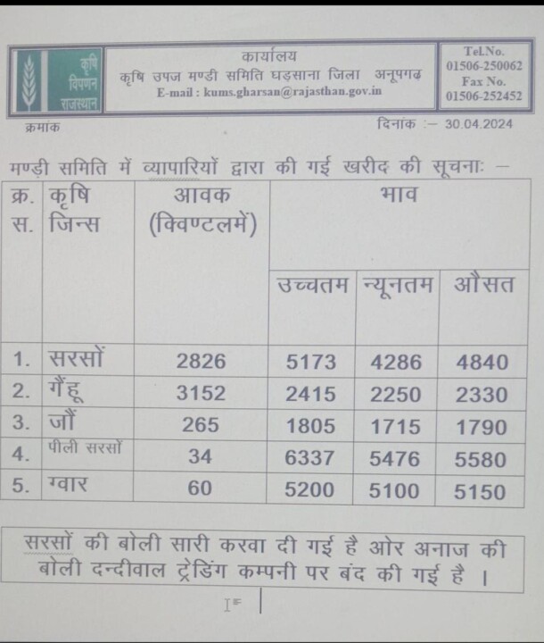 घड़साना मंडी रेट 30/04/2024