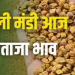 Delhi Mandi Bhav 2024