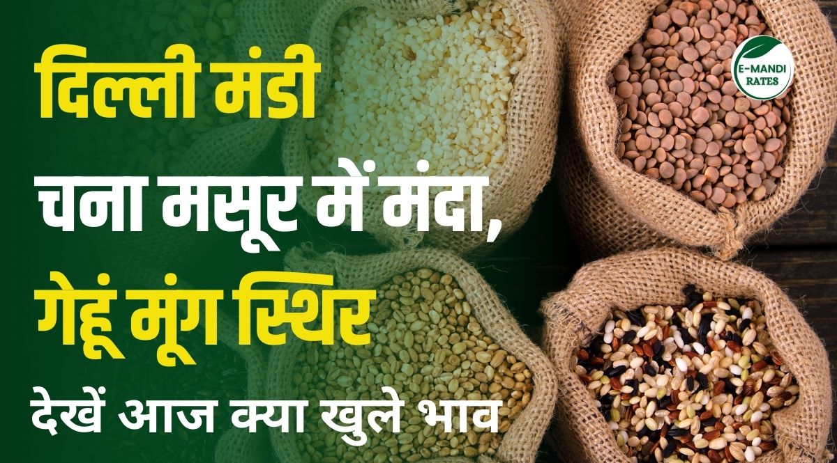 Delhi Mandi Bhav 29 May