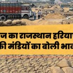 Mandi Bhav Today Update