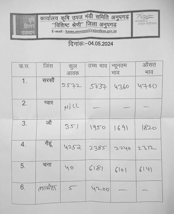 अनूपगढ़ मंडी भाव 4/05/2024