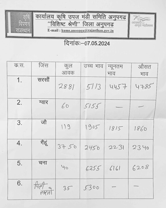 अनूपगढ़ मंडी का भाव 7/05/2024