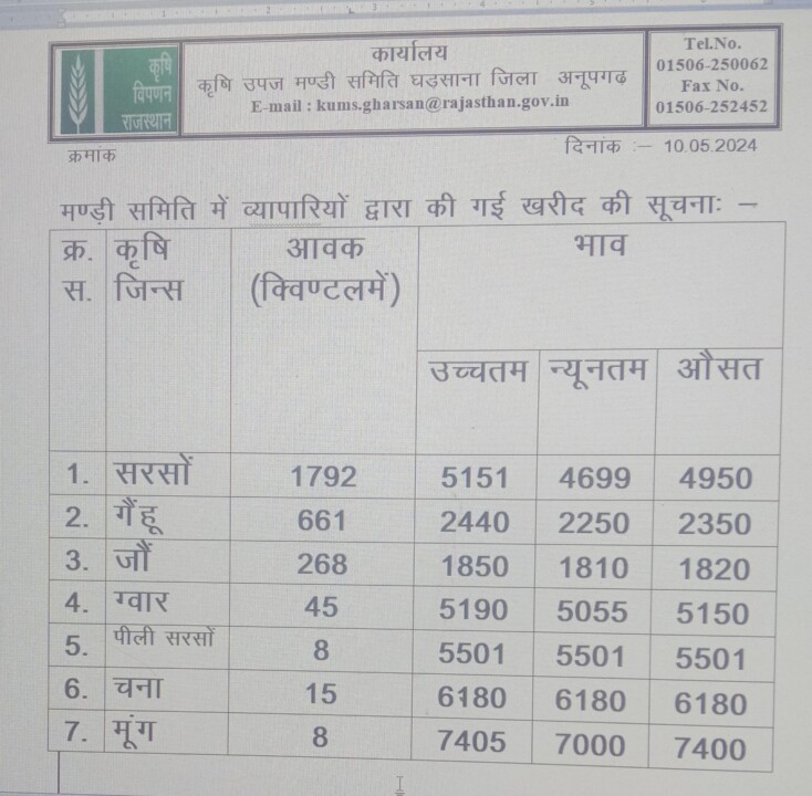 घड़साना मण्डी भाव 10/05/2024