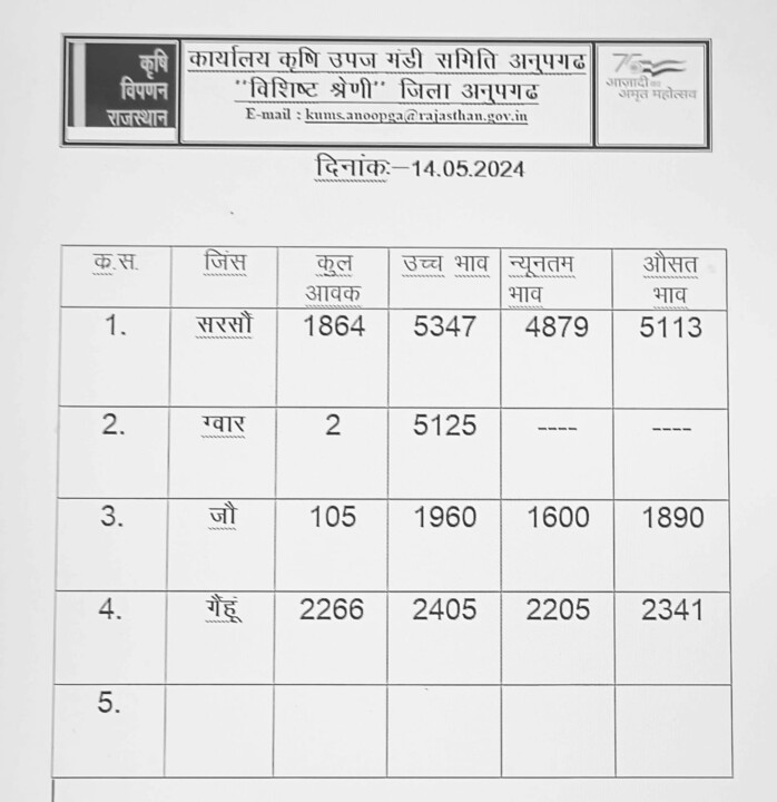 अनूपगढ़ मंडी रेट 14-05-2024