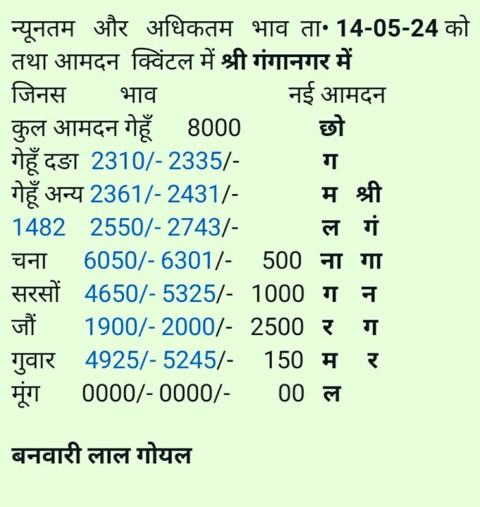 श्री गंगानगर अनाज मंडी भाव 14/05/2024