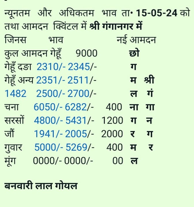 गंगानगर मंडी आज का भाव 15/5/2024
