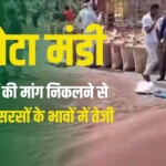 kota Mandi Bhav Today