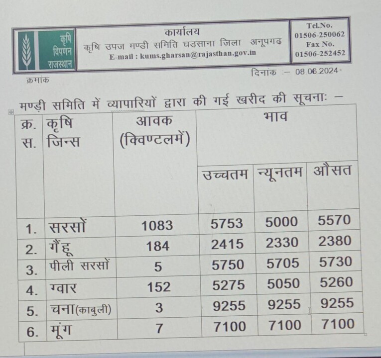 घड़साना मंडी रेट 08.06.2024