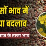 Sarso Bhav 8 August