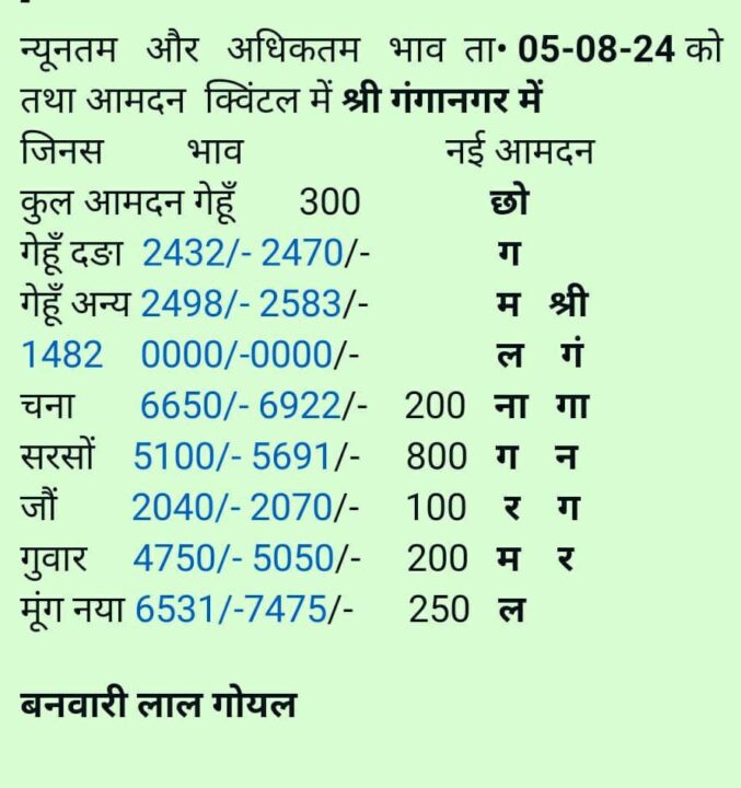 श्री गंगानगर अनाज मंडी भाव 05-08-2024