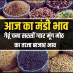 aaj ka taza mandi bhav