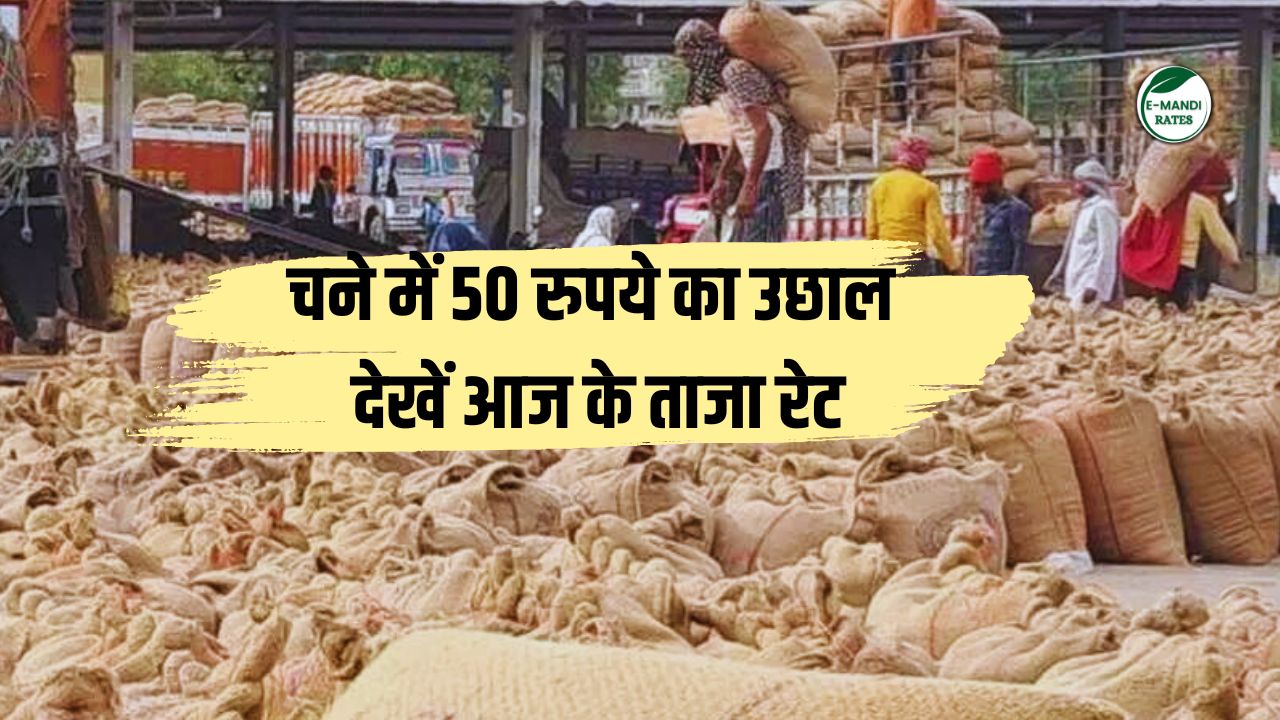 Delhi Mandi Bhav 2024