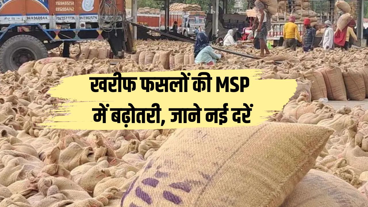 Increase in MSP of Kharif crops