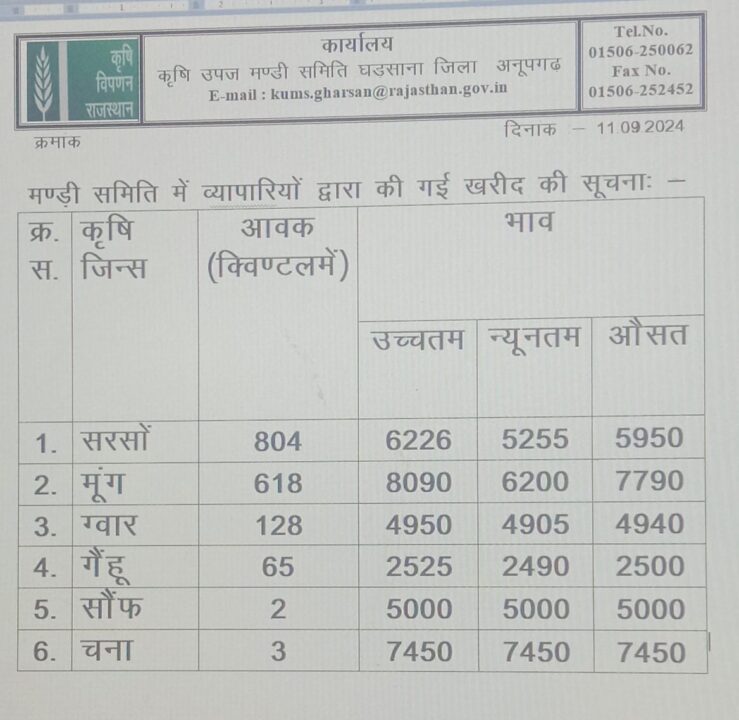 घड़साना मंडी भाव 11 सितंबर 2024