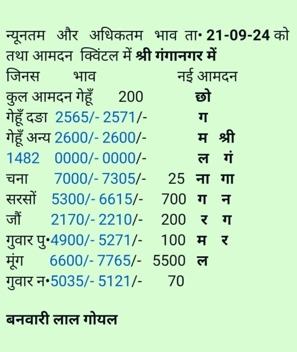 श्री गंगानगर मंडी भाव २१ सितंबर २०२४