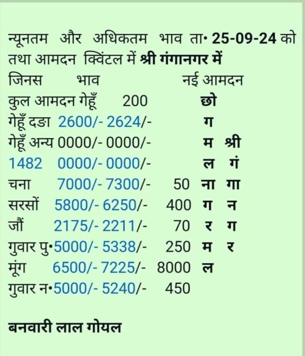श्री गंगानगर मंडी के भाव 25 सितंबर 2024