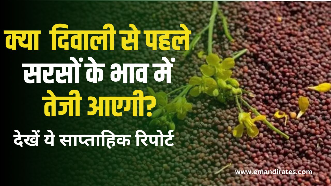 Will the price of mustard increase before Diwali?