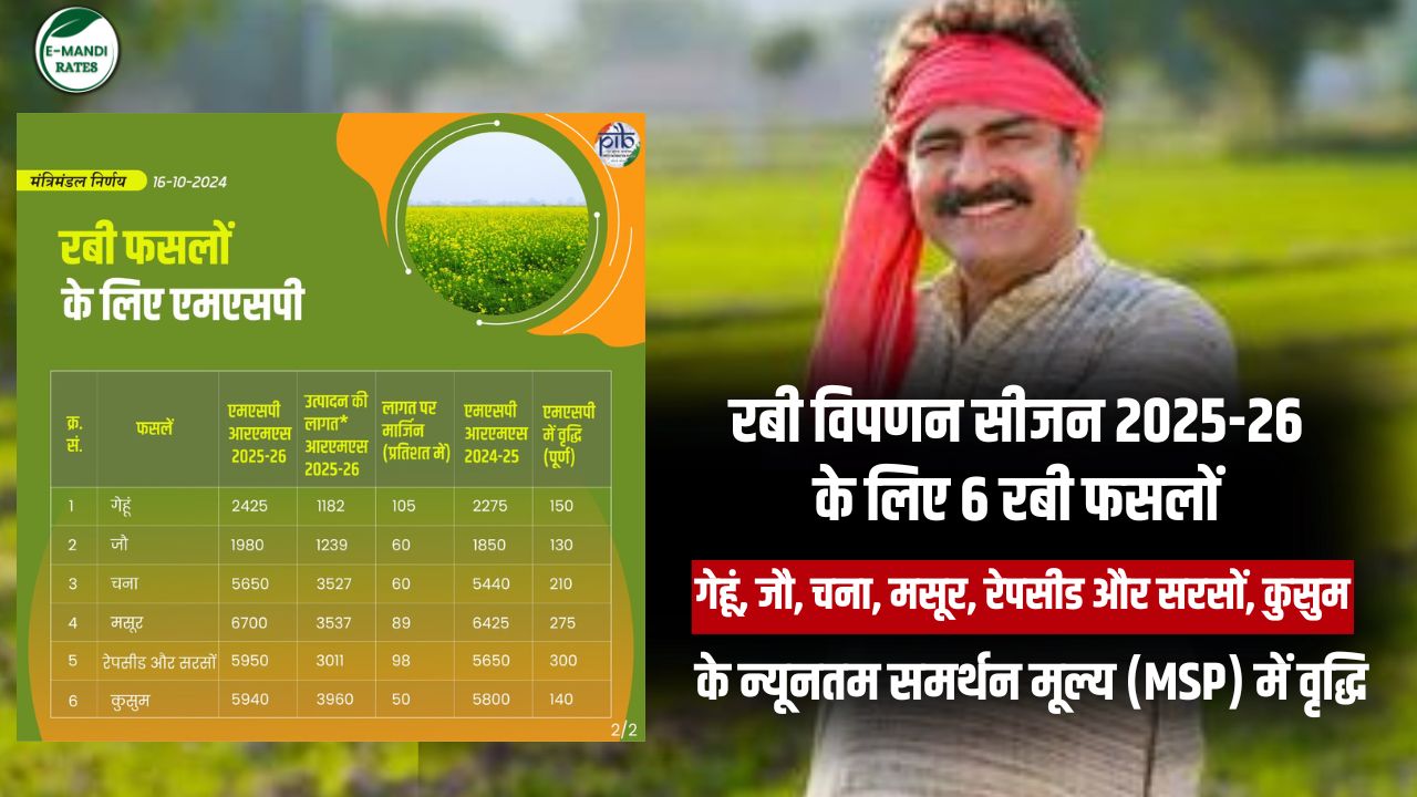 Rabi Fasal MSP LIST Year 2025
