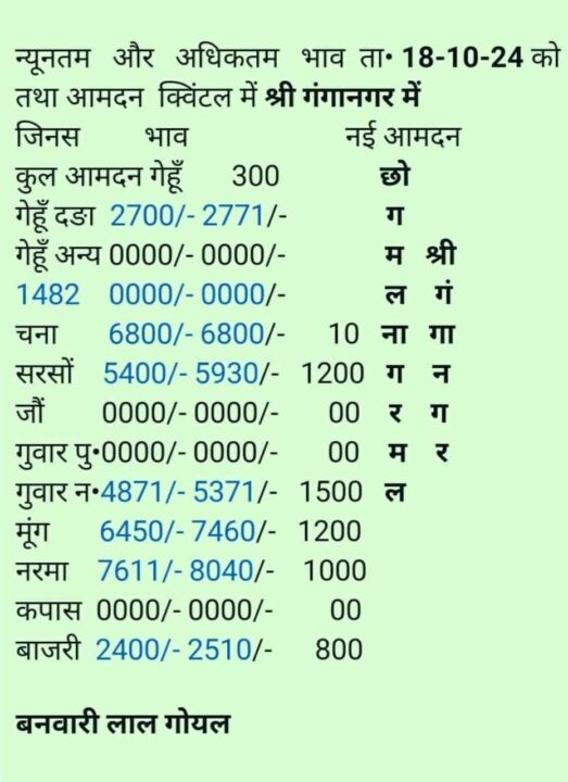 श्री गंगानगर मंडी भाव 18/10/2024