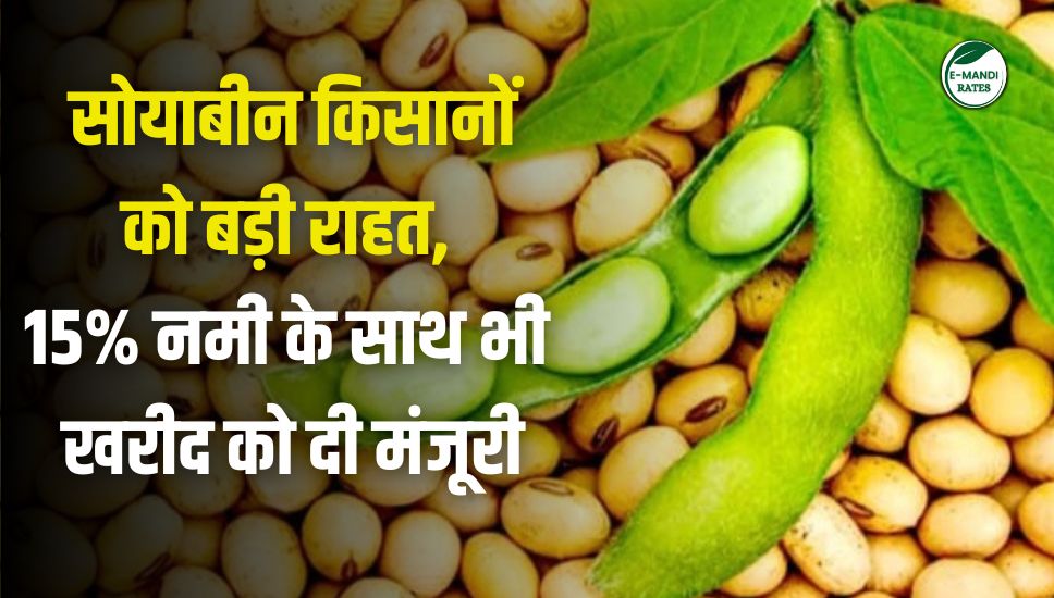 Big relief to soybean farmers, government approves purchase with 15% moisture