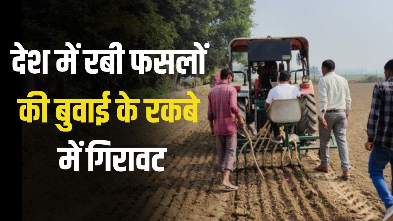 Decline in sowing of Rabi crops 2024-25