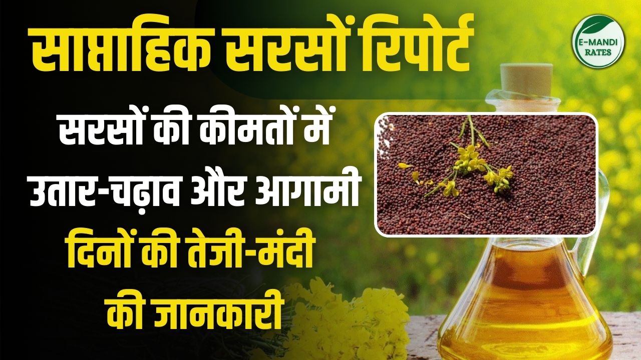 Weekly Mustard Report