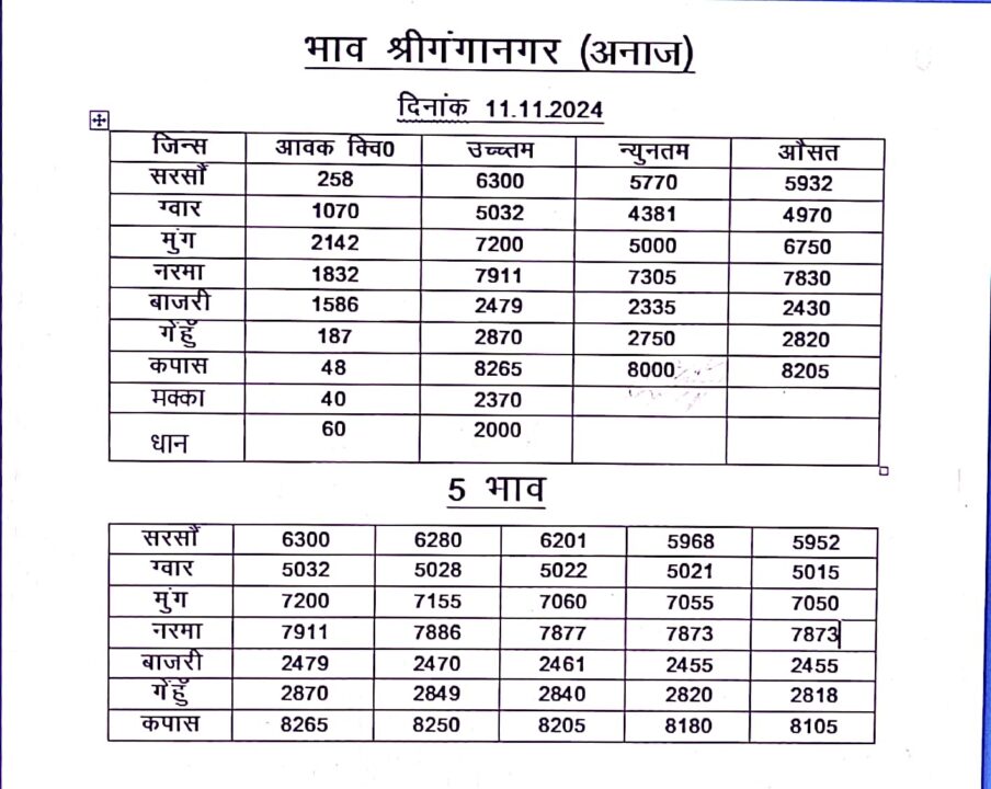 श्री गंगानगर कृषि उपज मंडी भाव (11 नवंबर 2024)
