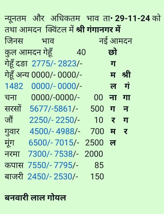 श्री गंगानगर अनाज मण्डी का भाव 29-11-2024
