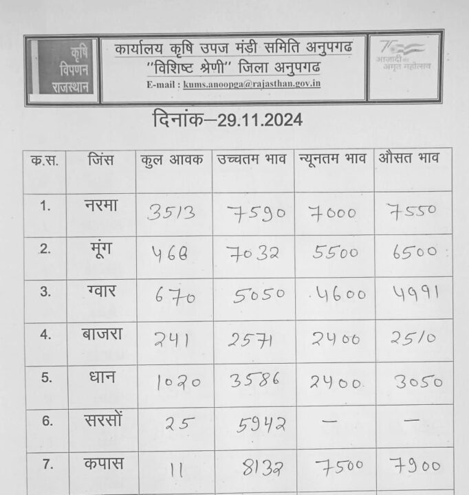 अनूपगढ़ अनाज मंडी का भाव 29/11/2024