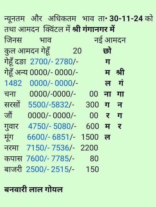 श्री गंगानगर अनाज मण्डी का भाव 30-11-2024