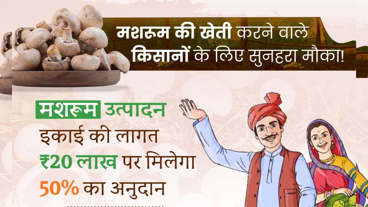 mushroom cultivation subsidy