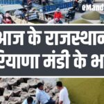 rajasthan haryana mandi ka bhav