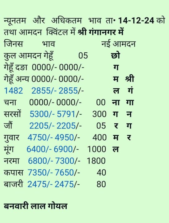 श्री गंगानगर मंडी के भाव 14-12-2024