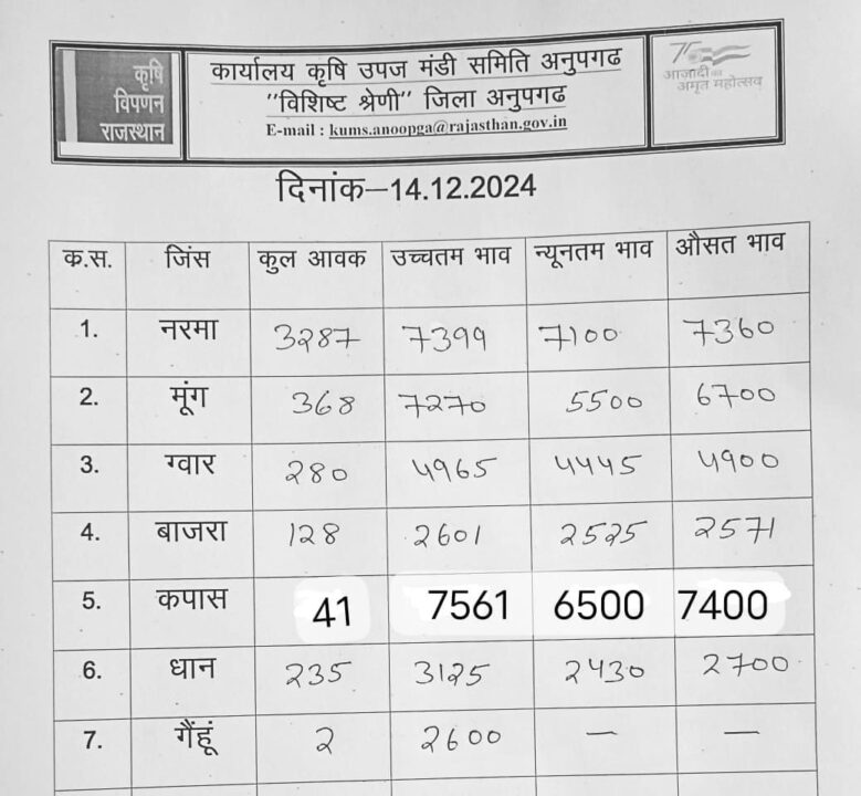अनूपगढ़ मंडी के भाव 14-12-2024