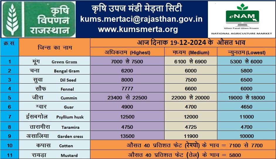 मेड़ता मंडी भाव आज का
