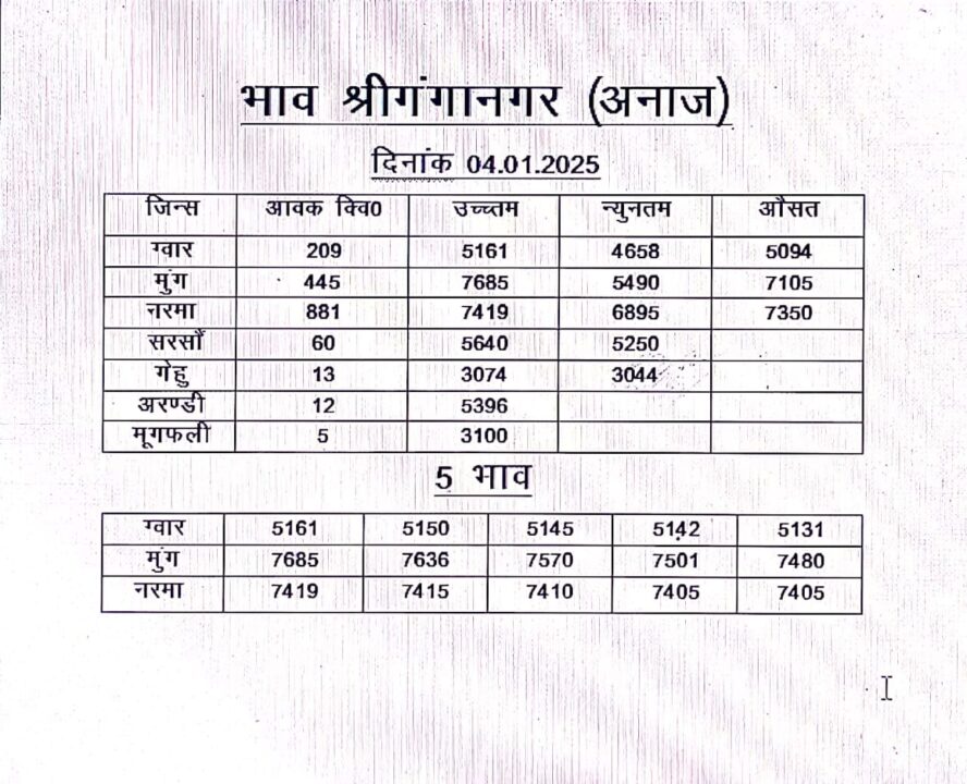 श्री गंगानगर मंडी का भाव 4 जनवरी २०२५