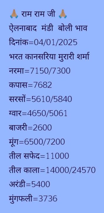 ऐलनाबाद मंडी का भाव 4 जनवरी २०२५