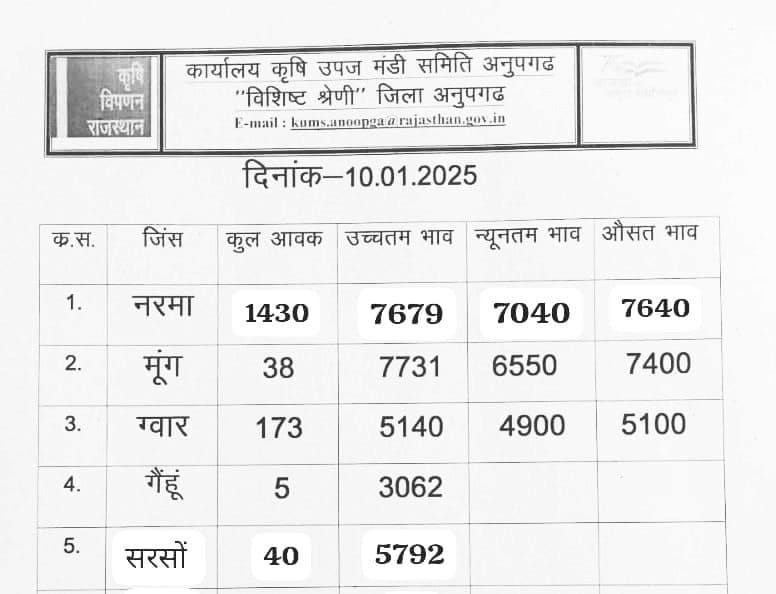 अनूपगढ़ मंडी के भाव आज