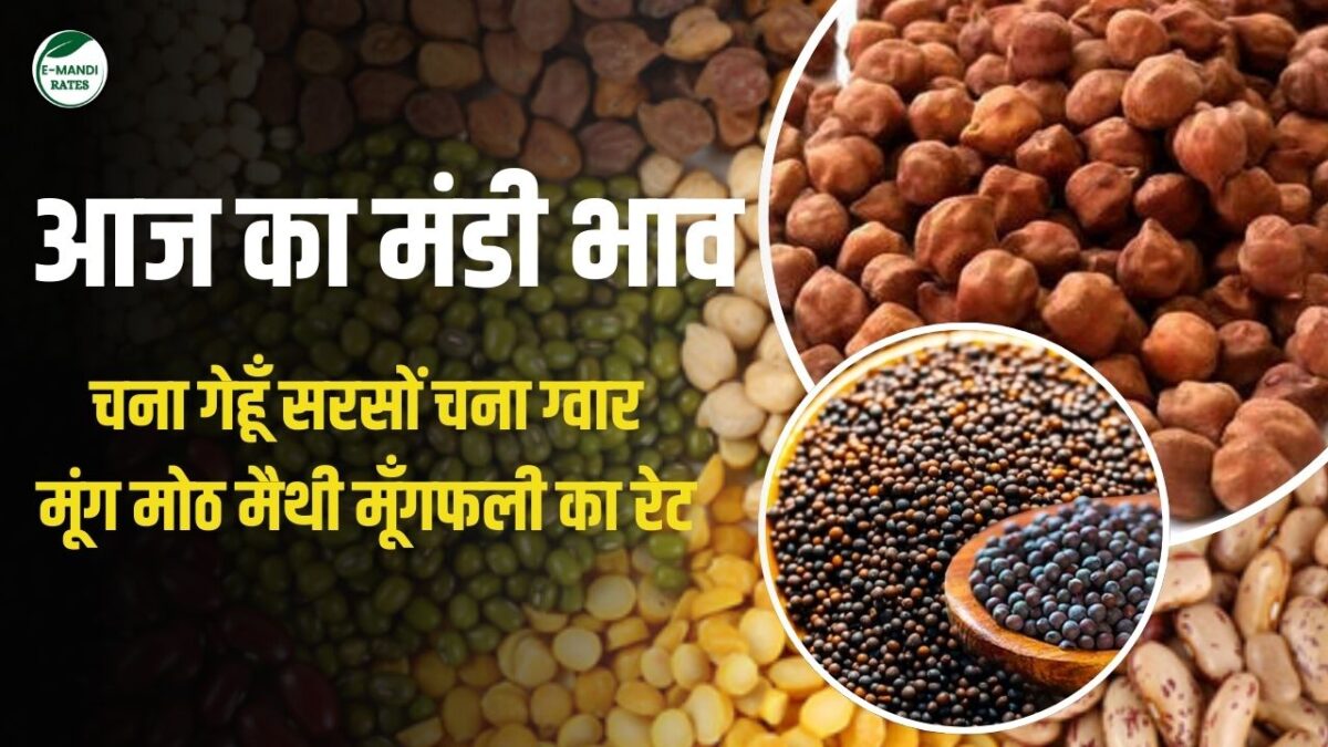 aaj ke mandi bhav