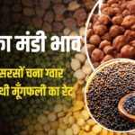 Mandi Bhav: आज चना, गेहूं, ग्वार, सरसों, जौ, क्या भाव बिका, जाने