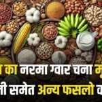 aaj ke taza mandi bhav