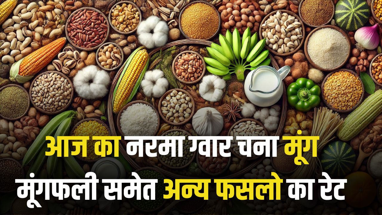 aaj ke taza mandi bhav