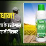 nano urea reduced grain yield