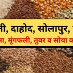 Mandi Bhav 4 February 2025