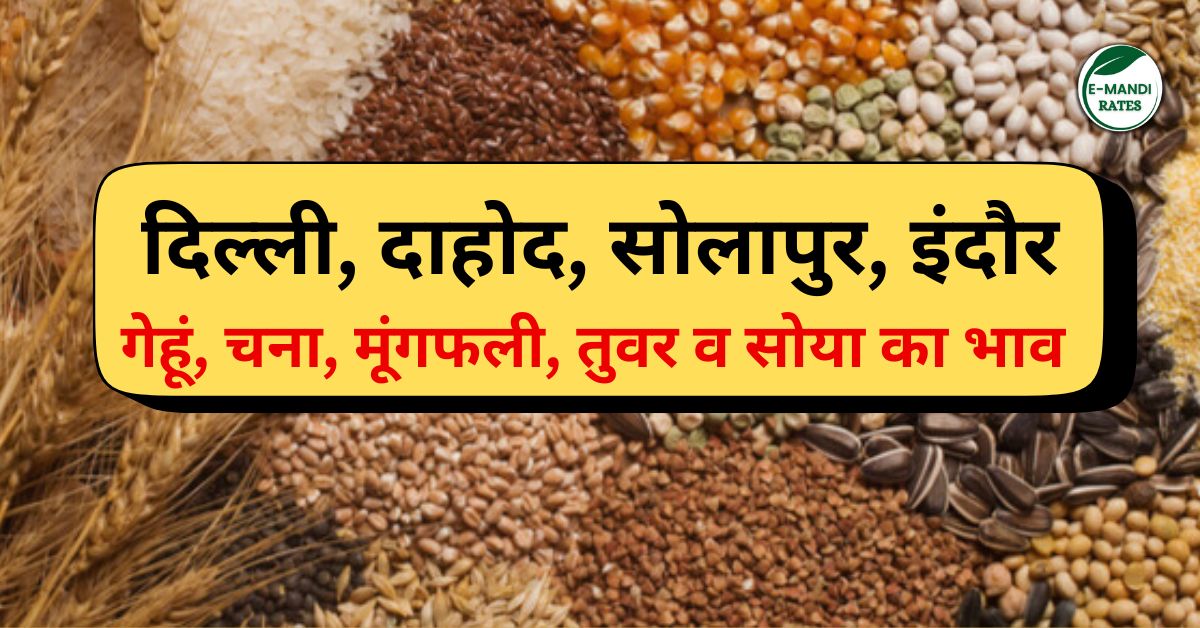 Mandi Bhav 4 February 2025