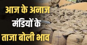 नोहर, ऐलनाबाद, सिरसा और बीकानेर में नरमा ग्वार मूंग मोठ समेत अन्य फसलों का रेट