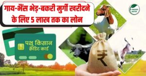 पशु किसान क्रेडिट कार्ड योजना: गाय-भैंस खरीदने के लिए 5 लाख तक का लोन, जानें पूरी जानकारी