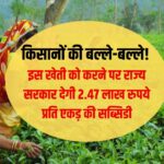 Tea Development Scheme