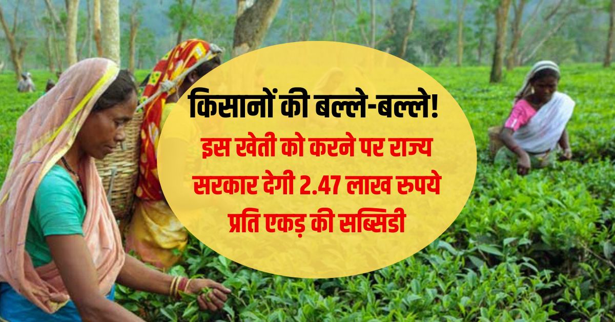 Tea Development Scheme