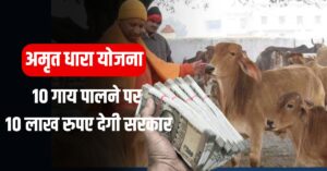 सरकार की नई पहल! गाय पालने पर अमृत धारा योजना से 10 लाख तक का मिलेगा लोन, जानें कैसे उठाएं स्कीम का लाभ